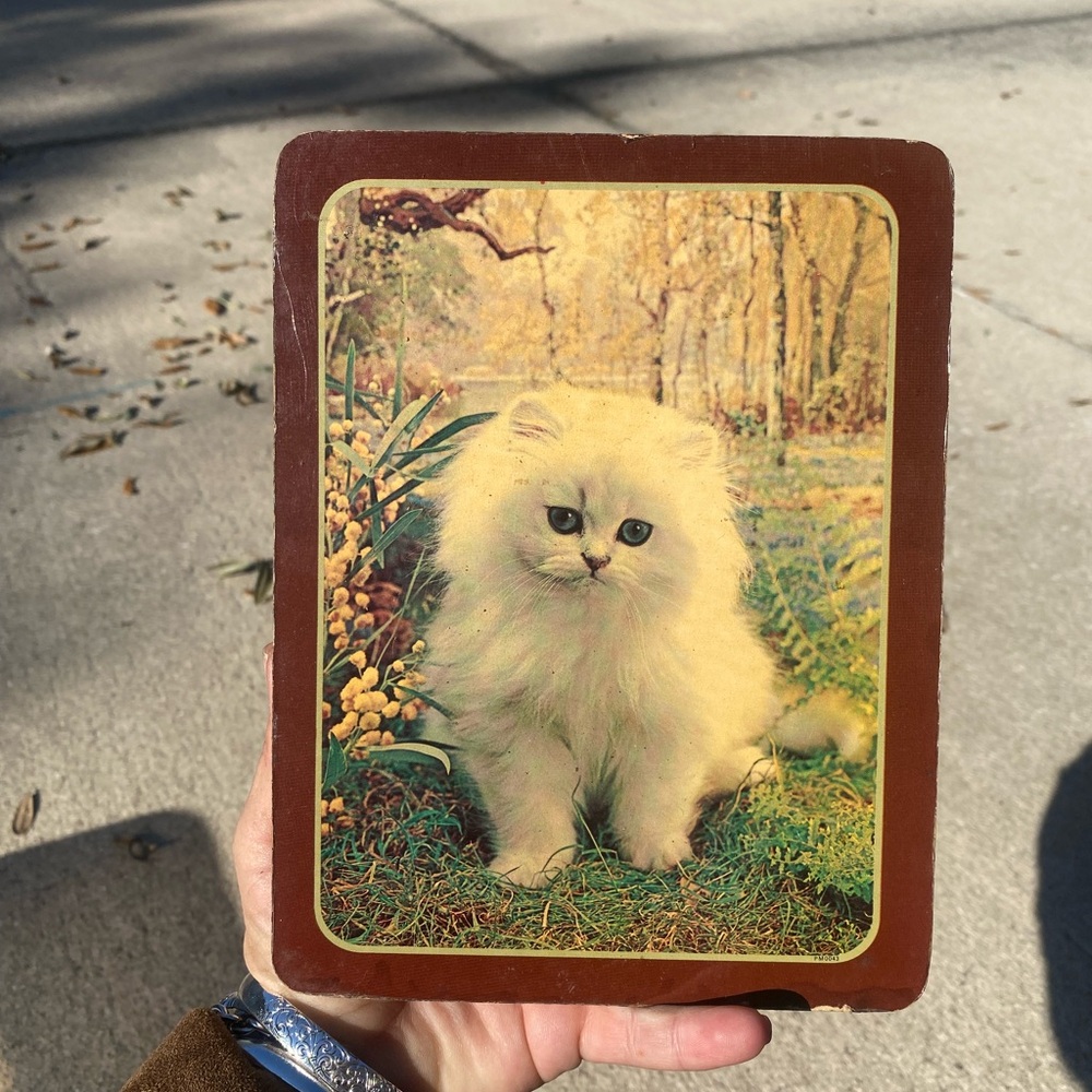 Vintage Cat Art Print